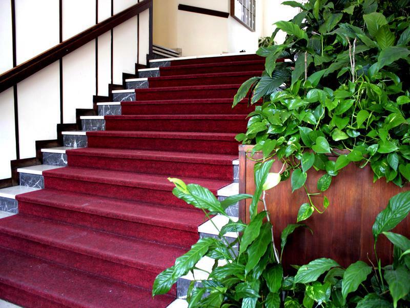 Casa Camilla City Padova Kültér fotó